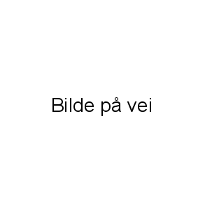 Bukser